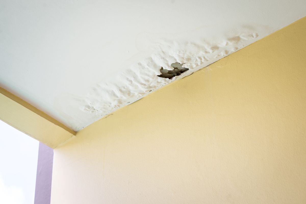 Damaged ceiling from water leak in rainy season