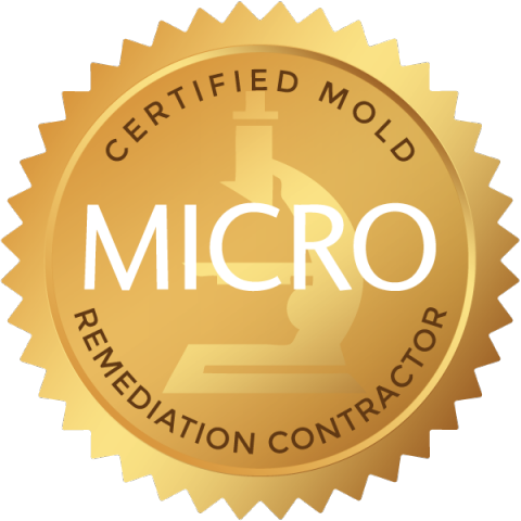 Certified Mold Remediation Contractor