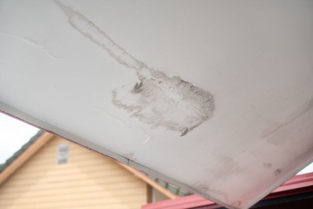 mold from water leak